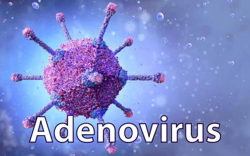 Ca mắc Adenovirus gia tăng, Hà Nội khuyến cáo nhận biết sớm để phòng bệnh. Ảnh minh hoạ