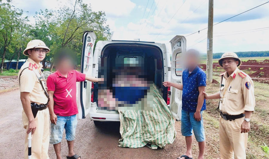 Số thịt heo trên xe số thịt có dấu hiệu tái xanh, xuất hiện nhiều đốm đỏ và bốc mùi hôi. (Ảnh: CA ĐN)