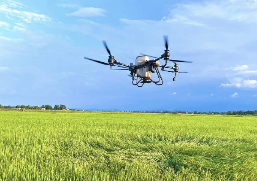 Ứng dụng công nghệ cao vào sản xuất nông nghiệp ở Quảng Trị. Ảnh MST