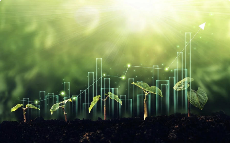 Việt Nam đặt mục tiêu đưa kinh tế xanh chiếm khoảng 10% GDP và giảm tối thiểu 9% phát thải khí nhà kính vào năm 2030. Ảnh minh họa/nguồn InT