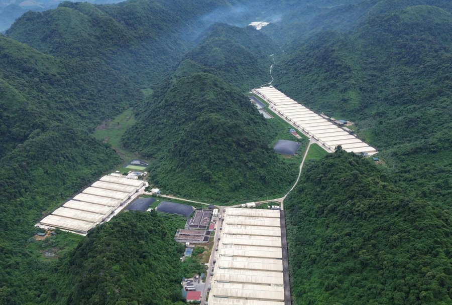 Trang trại lợn của Công ty TNHH Dabaco Thanh Hóa (Ảnh: Hoàng Dương).