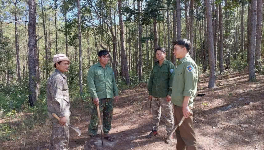 Cơ quan chức năng tỉnh Gia Lai đang kiểm tra, đo đạc những diện tích rừng trên địa bàn bị lấn chiếm để kiến nghị thu hồi. Ảnh: T.H