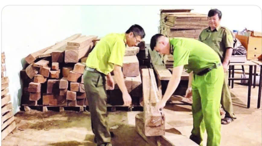 Công an xã Krông Ana phối hợp Hạt Kiểm lâm khu vực Lắk kiểm tra gỗ chưa xác định chủng loại tại nhà kho của ông T.V.T, không có hóa đơn, bản kê lâm sản hoặc giấy tờ chứng minh nguồn gốc hợp pháp. Ảnh: C.L