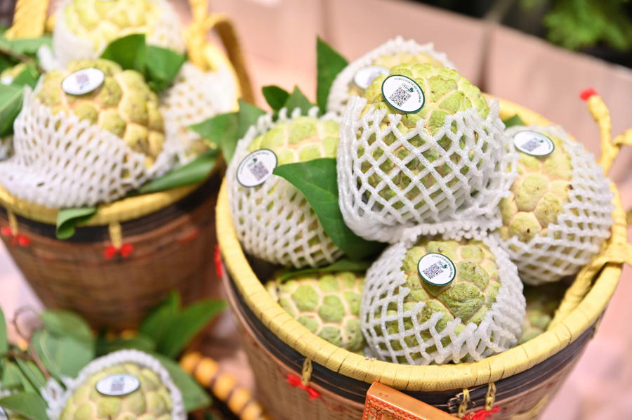 Đặc sản Na Chi Lăng (Lạng Sơn). Ảnh: DMS Đặc sản Na Chi Lăng (Lạng Sơn). Ảnh: DMS