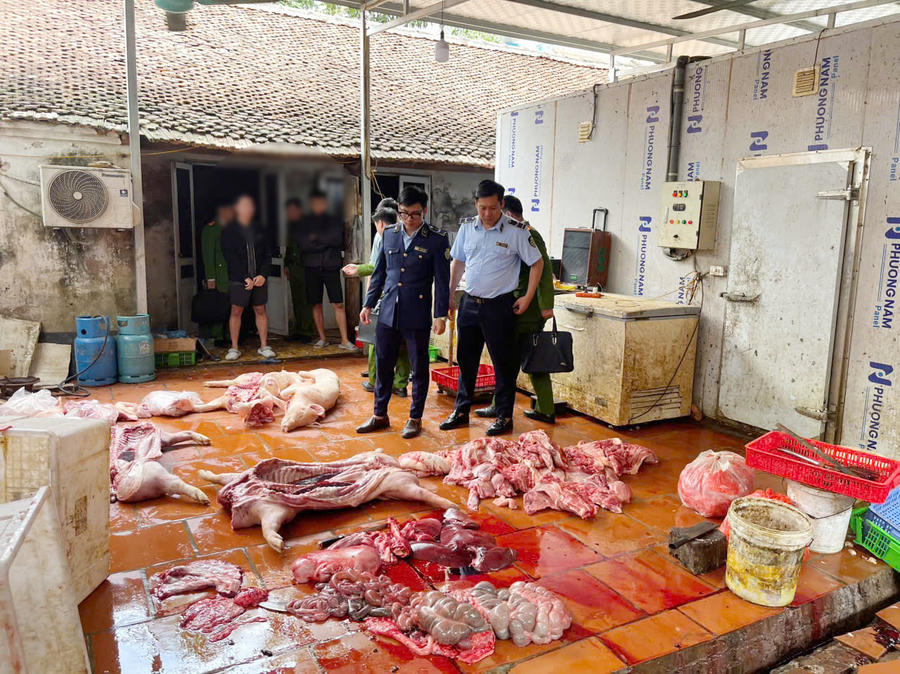 Chuyển cơ quan điều tra vụ gần 1 tấn thịt lợn nghi nhiễm dịch tả lợn châu Phi tại Hưng Yên. Ảnh: DMS