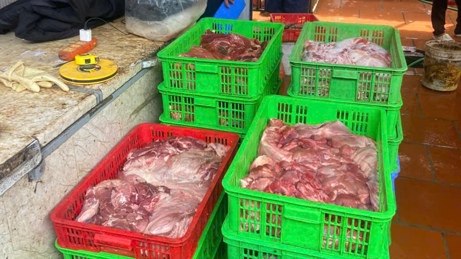 Một số sản phẩm có biểu hiện đổi màu, bốc mùi hôi, nghi mắc bệnh truyền nhiễm. Ảnh: DMS