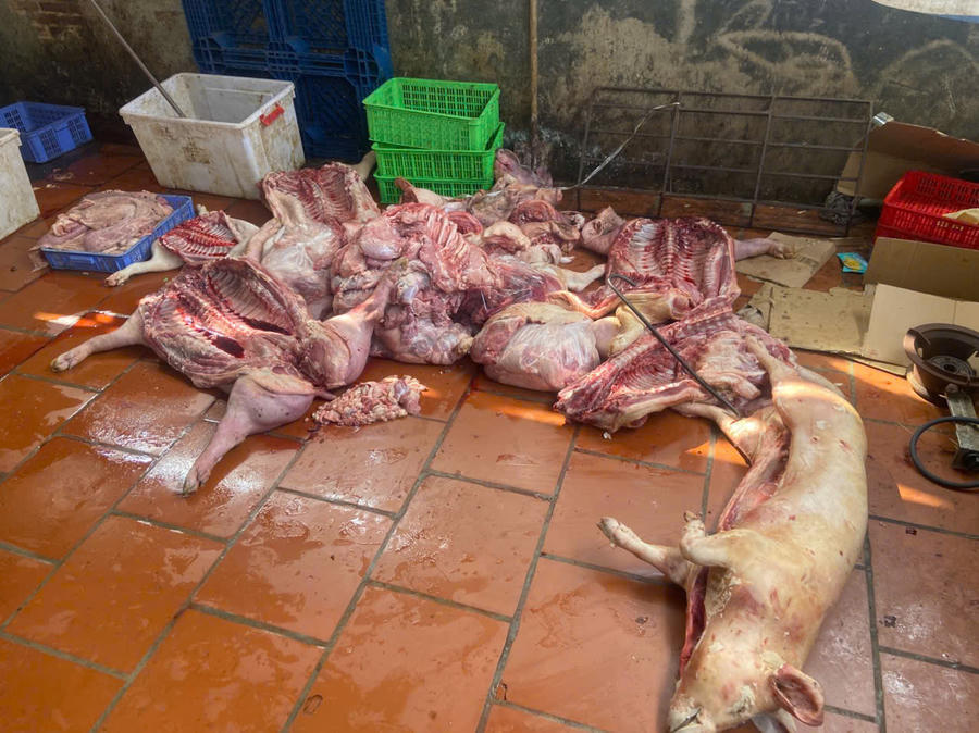 Một số sản phẩm có biểu hiện đổi màu, bốc mùi hôi, nghi mắc bệnh truyền nhiễm. Ảnh: DMS
