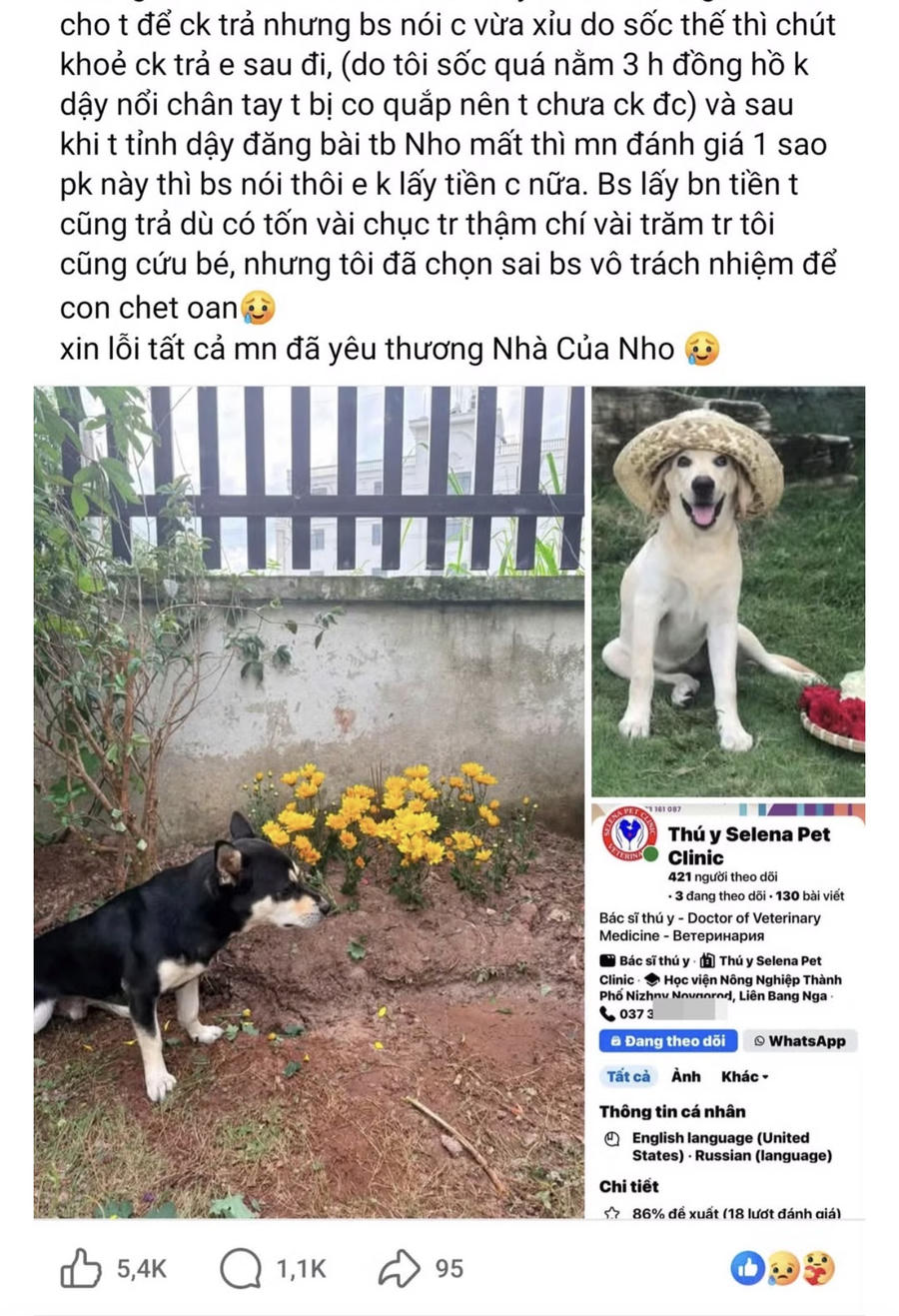 Đoạn bài viết của chủ thú cưng chia sẻ trên mạng xã hội Facebook nhận được nhiều lượt like, chia sẻ và bình luận. (Ảnh chụp màn hình)