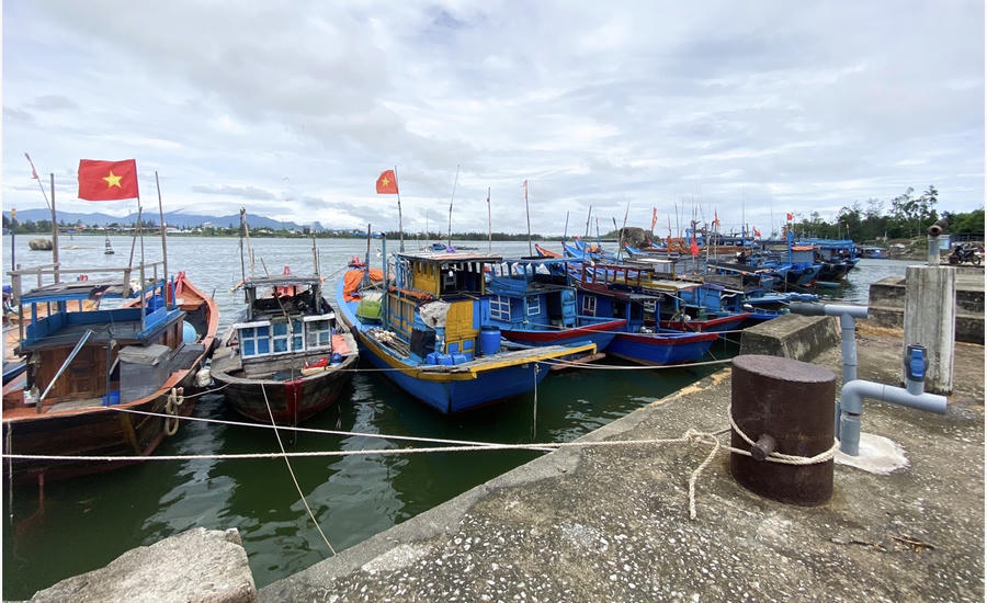 Cảng cá sông Trà Bồng. Ảnh Thanh Niên