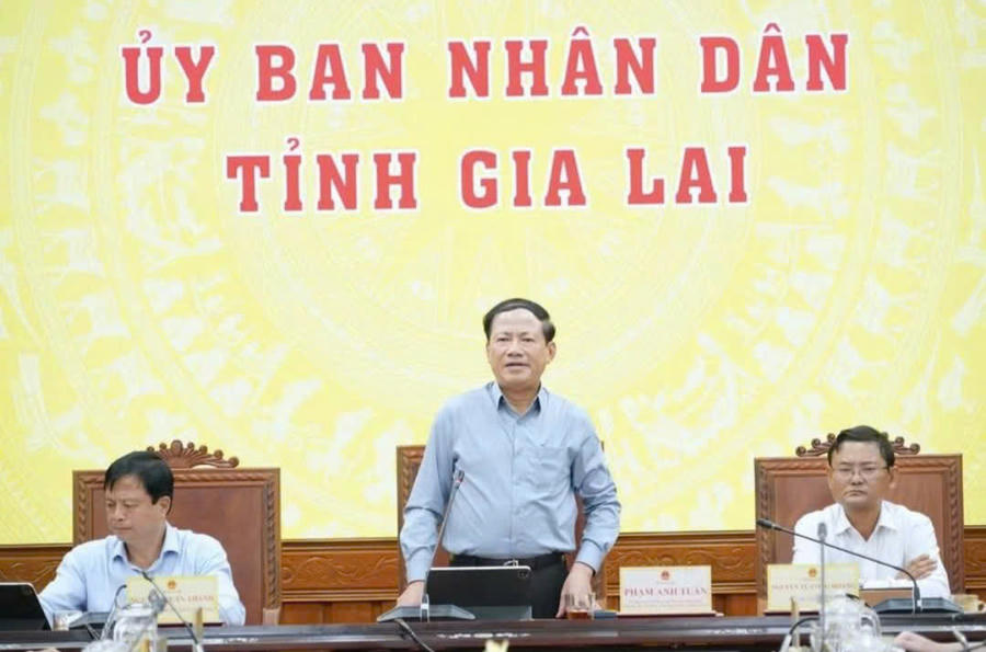Chủ tịch UBND tỉnh Phạm Anh Tuấn phát biểu kết luận hội nghị. Ảnh: N.H
