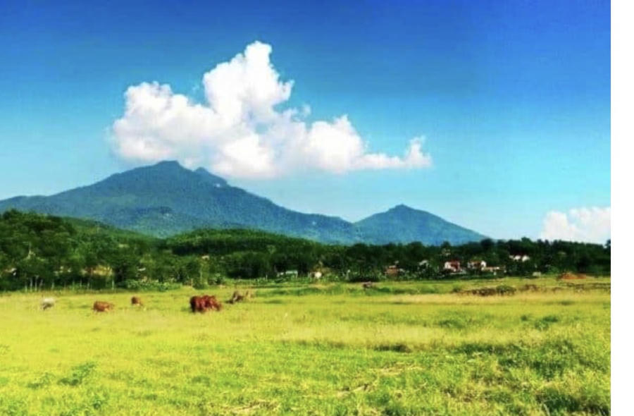 Sở Nông nghiệp và Môi trường Hà Nội đề xuất các đơn vị thực hiện ngay việc bàn giao khoảng 4.056,05ha (gồm đất phi nông nghiệp và đất chưa sử dụng) cho UBND cấp xã tiếp nhận, rà soát và lập phương án sử dụng theo Luật Đất đai năm 2024. Ảnh minh họa/ nguồn InT