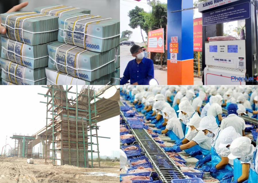 Thực hiện sắp xếp, cơ cấu lại vốn nhà nước tại doanh nghiệp.