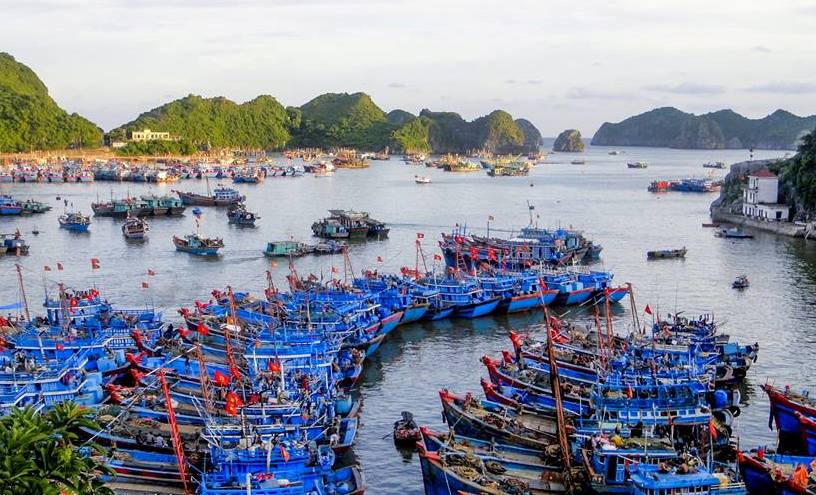 Đề xuất tháo gỡ vướng mắc về Giấy Chứng nhận ATTP tại các cảng cá công lập.