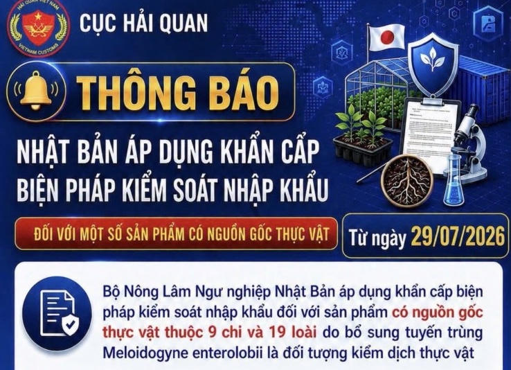 Hải quan cảnh báo khi Nhật Bản khẩn cấp kiểm soát nhập khẩu đối với sản phẩm có nguồn gốc thực vật. (Nguồn Cục Hải quan)