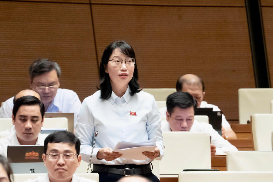 Đại biểu Trần Thị Diệu Thúy đoàn ĐBQH Thành phố Hồ Chí Minh phát biểu. Ảnh: quochoi.vn