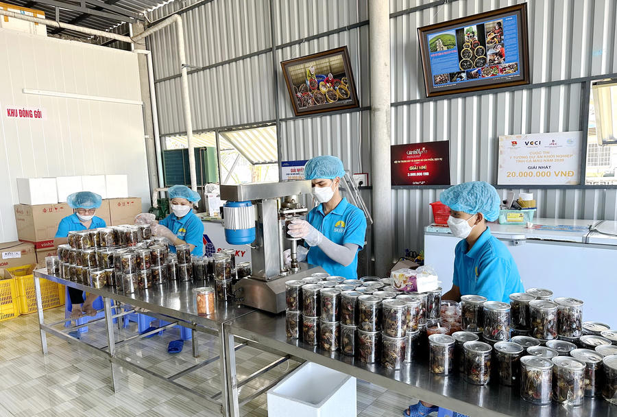 Lao động phổ thông vẫn chiếm tỷ lệ lớn tại các doanh nghiệp ở Cà Mau. (Ảnh minh họa)