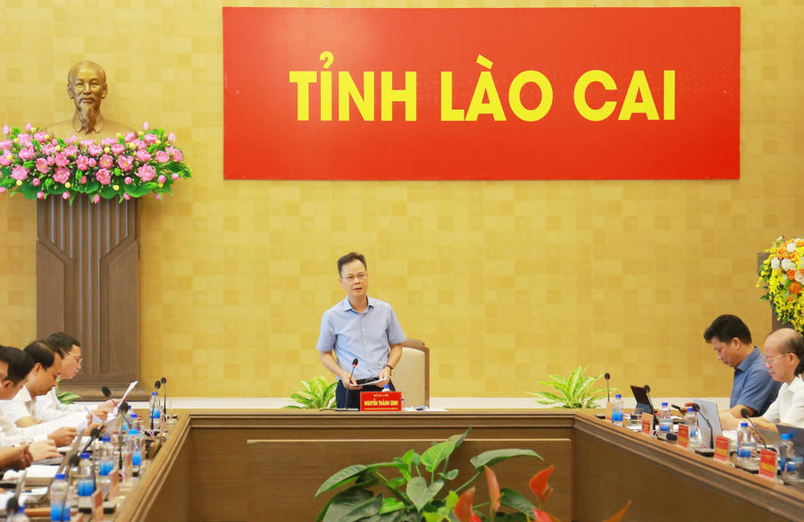Ông Nguyễn Thành Sinh - Phó Chủ tịch UBND tỉnh phát biểu kết luận buổi làm việc. (Ảnh: CTTĐT Lào Cai).