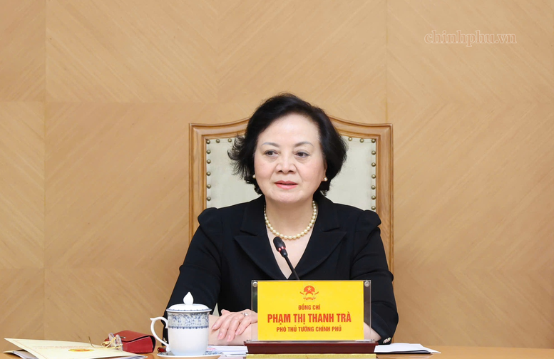 Phó Thủ tướng Phạm Thị Thanh Trà phát biểu tại buổi làm việc - Ảnh: chinhphu.vn/Thu Giang