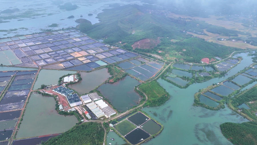 Trung tâm ương giống, nuôi thủy sản công nghiệp và nhà máy điện mặt trời Đầm Hà công suất 100MW được khởi công tháng 12/2025. Trung tâm ương giống, nuôi thủy sản công nghiệp và nhà máy điện mặt trời Đầm Hà công suất 100MW được khởi công tháng 12/2025.