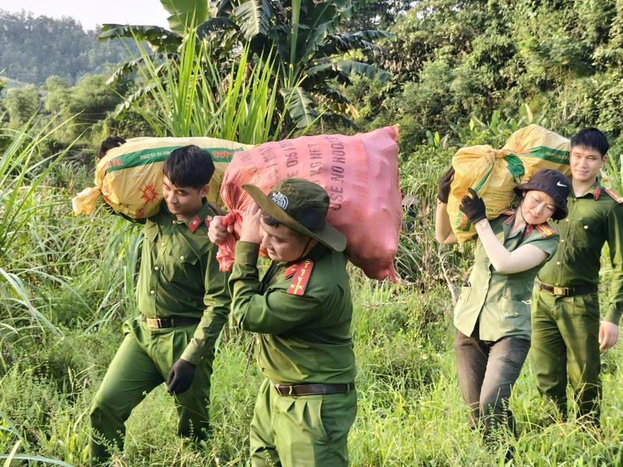 Cán bộ, chiến sĩ Công an xã Bạch Ngọc vác từng bao ngô đưa về nhà giúp gia đình ông Vương Quốc Giang.