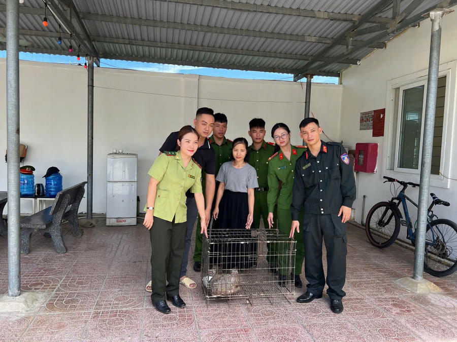 Cá thể Tê tê có trọng lượng gần 7 kg.