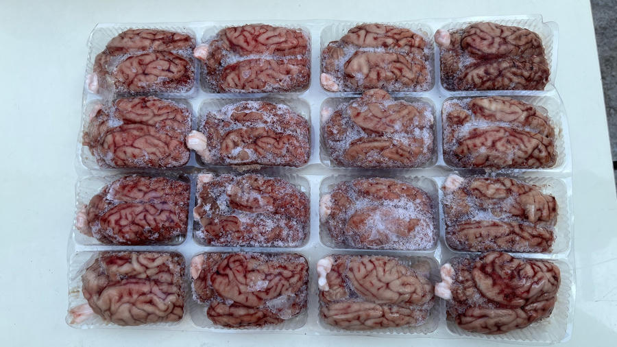 Tang vật thu giữ bao gồm thuyền cao su và 15kg óc lợn. (Ảnh: Trung Dũng).