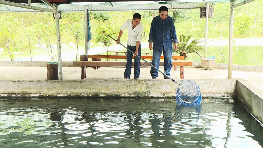 Tỉnh Hà Tĩnh dành hơn 9,8 tỷ đồng hỗ trợ mô hình sinh kế cho người dân.