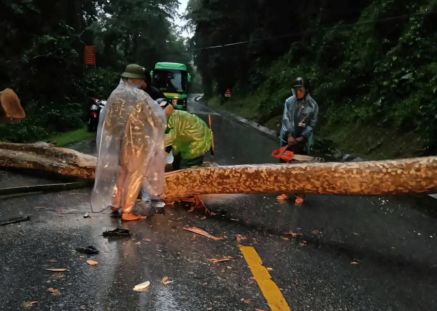 Cây lớn gãy đổ, chắn ngay QL7.