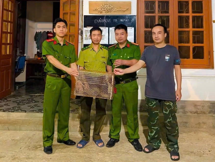 Công an xã Quỳnh Lưu tiếp nhận 01 cá thể kỳ đà vân do người dân phát hiện và giao nộp. (Ảnh: Công an tỉnh Nghệ An)