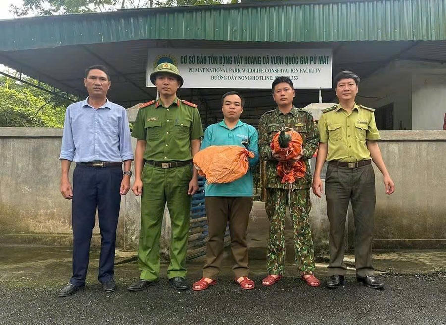 Anh Đặng Đình Thuyết giao nộp 02 cá thể công cho cơ quan chức năng. (Ảnh: Công an tỉnh Nghệ An)