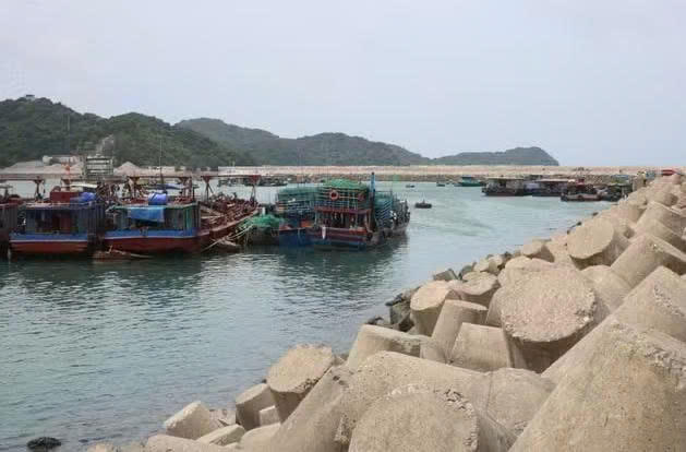Tàu neo đậu tại Khu neo đậu tránh trú bão cho tàu cá đảo Cô Tô.
