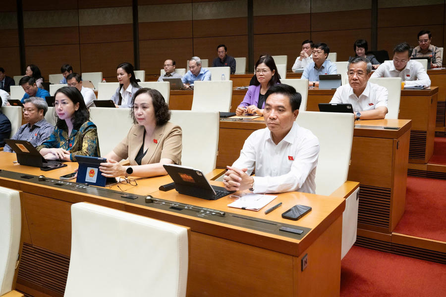 Phó Chủ tịch Quốc hội, Thượng tướng Nguyễn Doãnh Anh và các đại biểu tham dự Phiên làm việc.