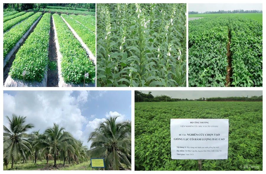 Việc tổ chức lại Viện và đưa toàn bộ nguồn lực này về HUIT tạo ra dư địa rất lớn.