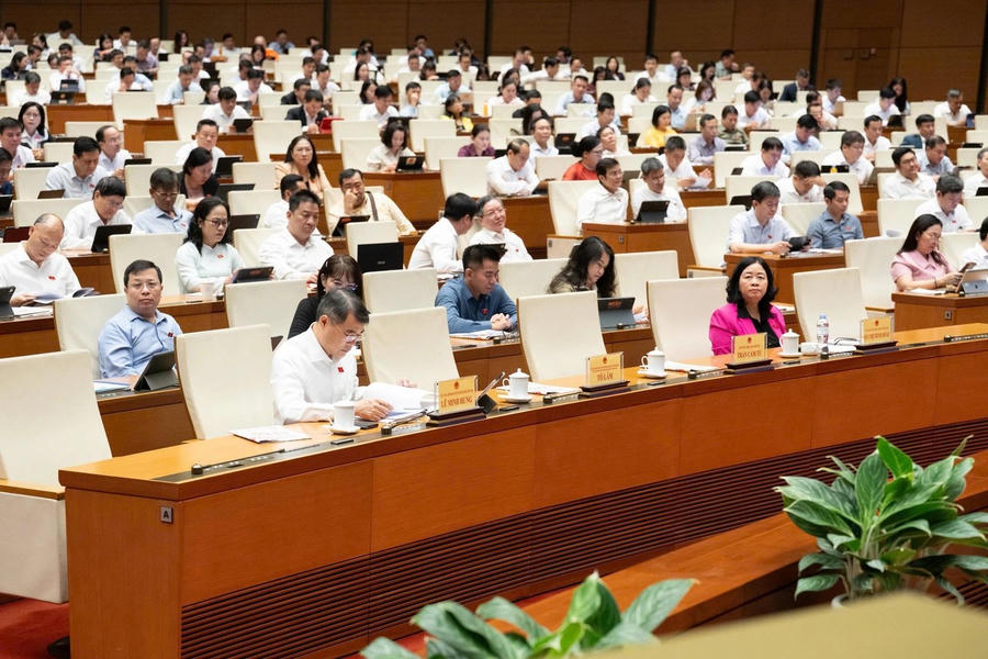 Các đại biểu Quốc hội dự phiên làm việc sáng 24/8 (Ảnh: Hồng Phong).