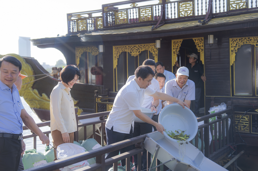 Phó Chủ tịch UBND thành phố Huế Trần Hữu Thùy Giang thả cá tái tạo nguồn lợi thủy sản trên sông Hương
. (Ảnh: Cổng TTĐT TP Huế)