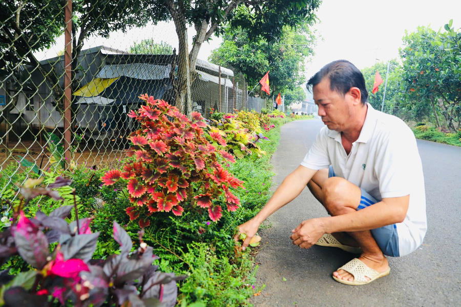 Người dân chăm sóc cây xanh ở Phú Vinh. Ảnh: Duy Khương.
