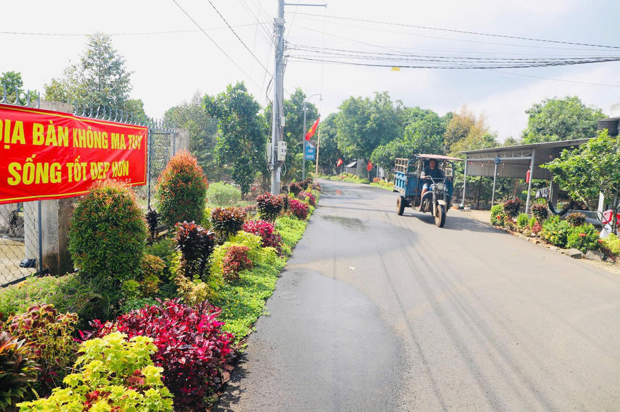 Tuyến đường xanh sạch đẹp ở Phú Vinh. Ảnh: Duy Khương.