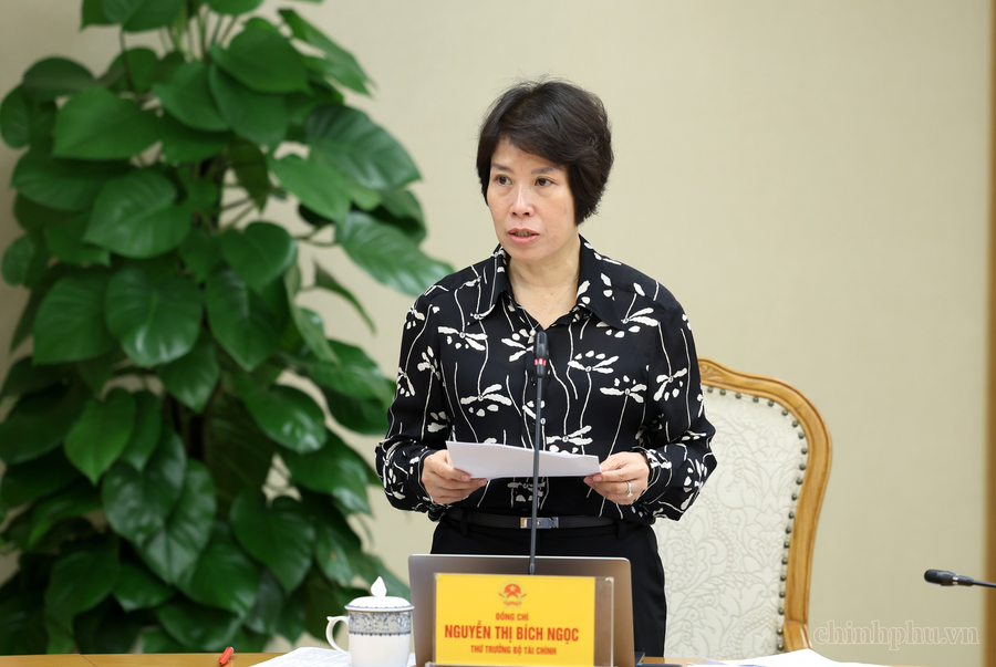 Thứ trưởng Bộ Tài chính Nguyễn Thị Bích Ngọc báo cáo tại phiên họp. Ảnh: VGP