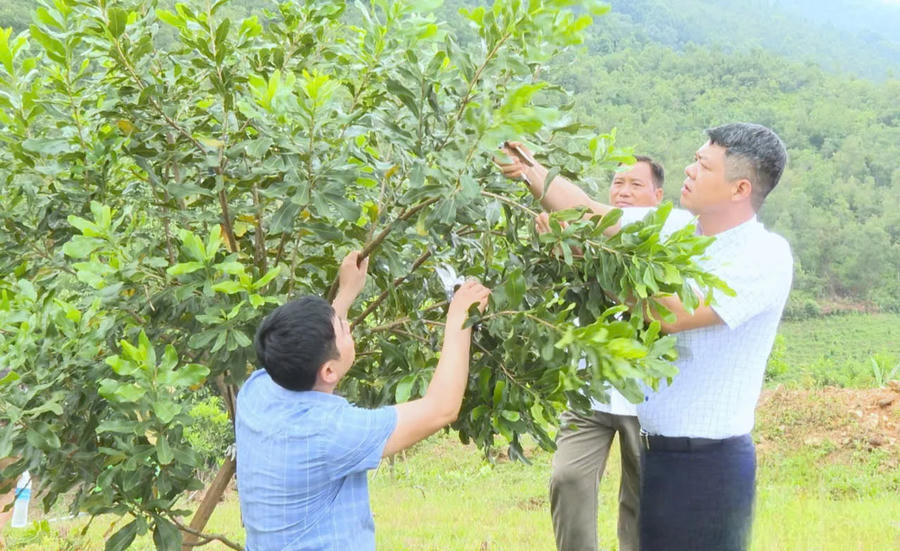 Bộ Nông nghiệp và Môi trường đang dự thảo quy định 18 lĩnh vực cán bộ thôi chức vụ không được thành lập hoặc quản lý doanh nghiệp. (Ảnh minh họa: danviet.vn)