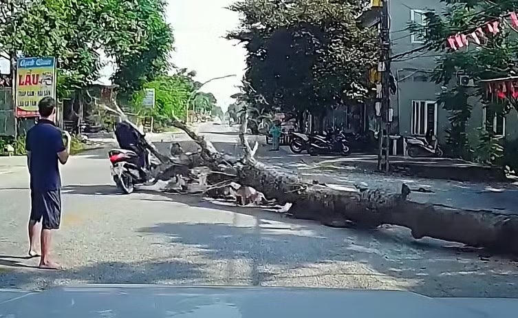 Hiện trường vụ tai nạn thương tâm - Ảnh cắt từ clip.