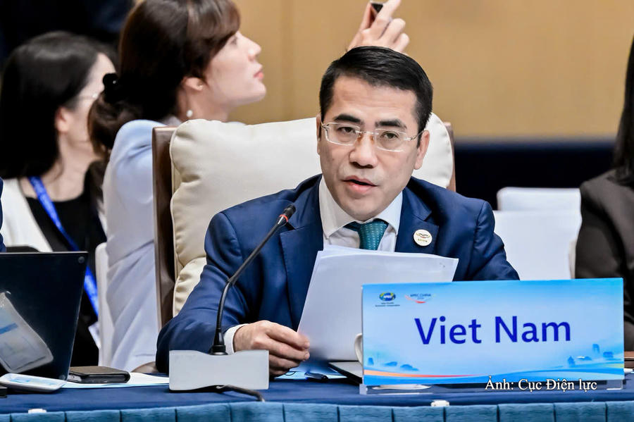 Ông Tăng Thế Hùng - Trưởng đoàn đại biểu Việt Nam, Phó Cục trưởng Cục Điện lực, Bộ Công Thương. (Ảnh: Cục Điện lực)