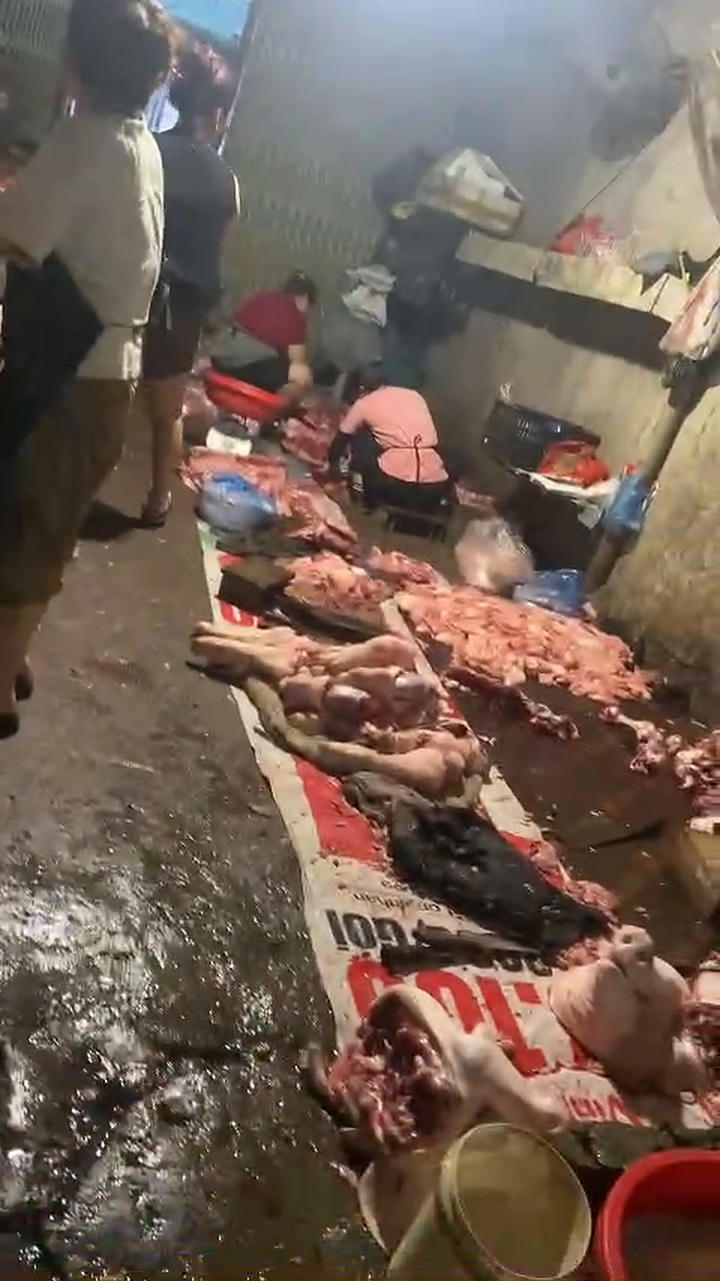Cơ sở giết mổ tập trung tại số nhà 13, ngõ 31, đường 19/5, tổ 7, phường Hà Giang 1, tỉnh Tuyên Quang hoạt động "chui". Bên trong lò mổ, thân thịt lợn được đặt trực tiếp trên mặt sàn, mất vệ sinh nhưng vẫn hoạt động liên tục.