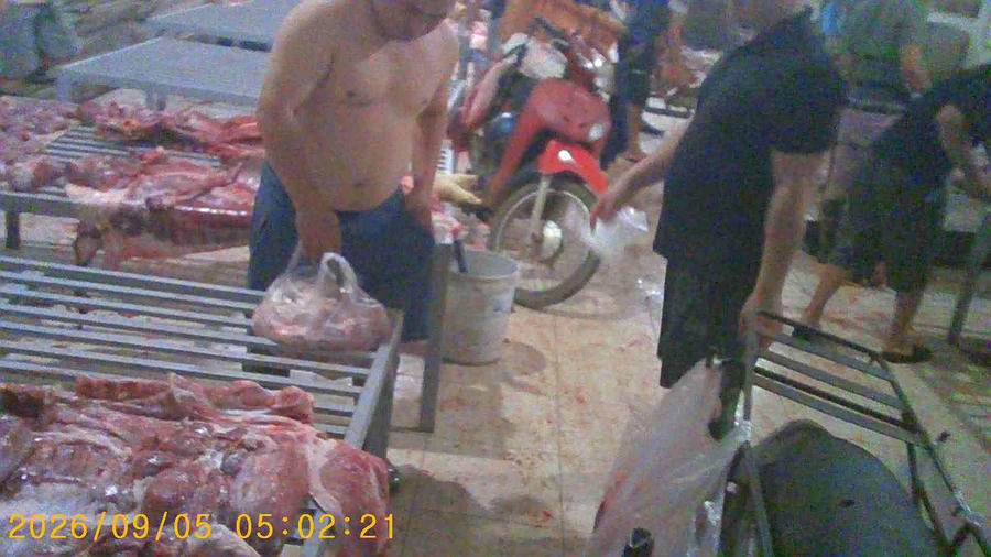 Bị thu hồi đất đã thuê trước đó và không được cấp giấy phép kinh doanh nhưng lò mổ AH vẫn diễn ra hoạt động giết mổ lợn tập trung.