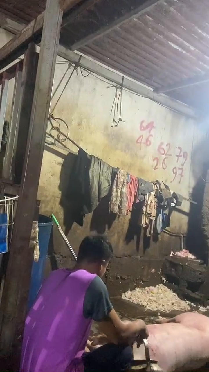 Cơ sở giết mổ tập trung tại số nhà 13, ngõ 31, đường 19/5, tổ 7, phường Hà Giang 1, tỉnh Tuyên Quang hoạt động "chui". Bên trong lò mổ, thân thịt lợn được đặt trực tiếp trên mặt sàn, mất vệ sinh nhưng vẫn hoạt động liên tục.