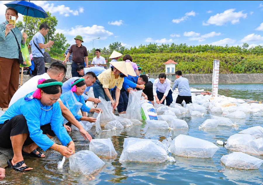 Thả giống thủy sản, khai thác tiềm năng mặt nước gắn với bảo vệ môi trường. Thả giống thủy sản, khai thác tiềm năng mặt nước gắn với bảo vệ môi trường.