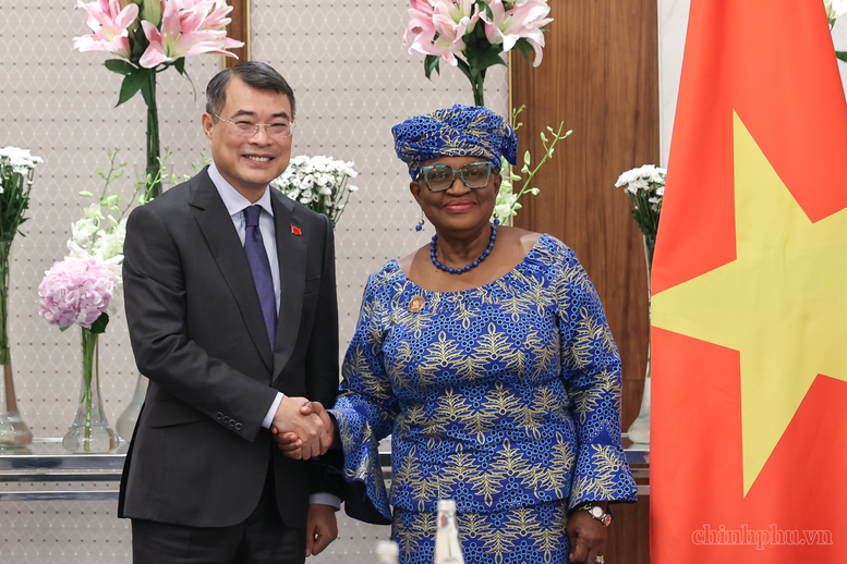 Thủ tướng Lê Minh Hưng tiếp Tổng Giám đốc Tổ chức Thương mại thế giới (WTO) Ngozi Okonjo-Iweala - Ảnh: chinhphu.vn/Nhật Bắc