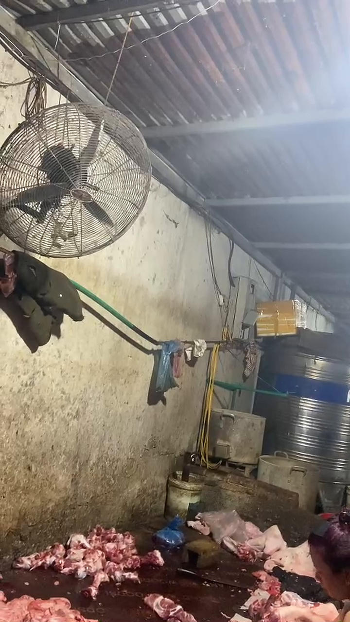 Cơ sở giết mổ tập trung tại số nhà 13, ngõ 31, đường 19/5, tổ 7, phường Hà Giang 1, tỉnh Tuyên Quang hoạt động "chui". Bên trong lò mổ, thân thịt lợn được đặt trực tiếp trên mặt sàn, mất vệ sinh nhưng vẫn hoạt động liên tục.