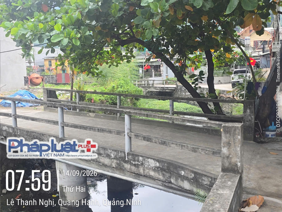Hai cây cầu được gia đình bà Hoa hiến đất, thuê thiết kế bỏ tiền của công sức để tiến hành xây dựng phục vụ cho nhu cầu đi lại của gia đình bà và người dân trong khu vực.