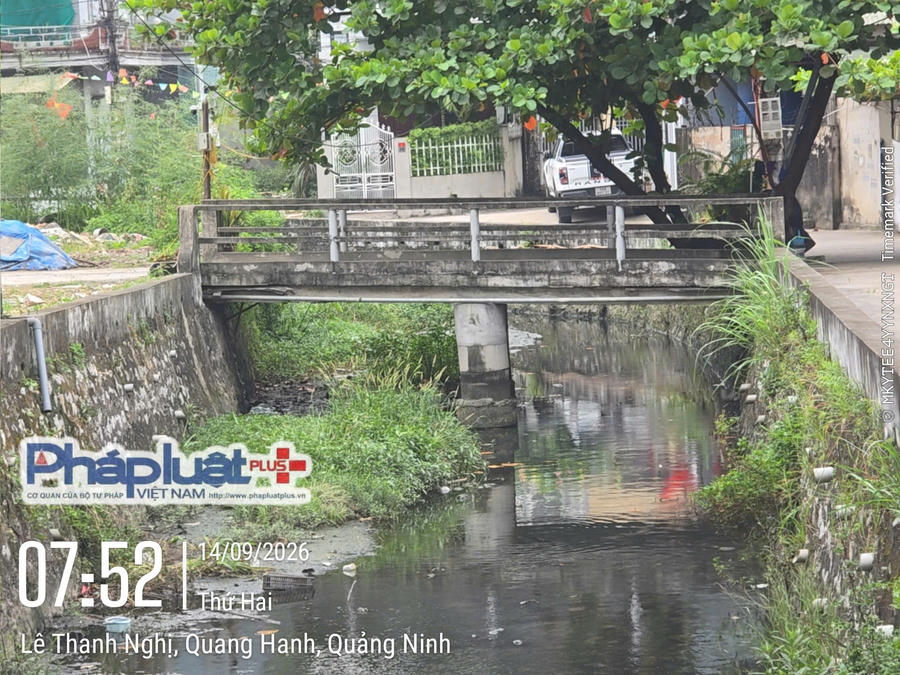 Hiện trạng cây cầu thứ nhất gia đình bà Hoa hiến đất bỏ công sức tiền của đầu tư xây dựng đã được công nhận làm lối đi để tách thửa đất mang GCNQSDĐ số DE 781483 thành các thửa số 132, 133 và 134.