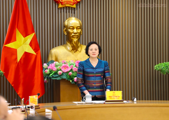 Phó Thủ tướng Phạm Thị Thanh Trà phát biểu tại cuộc họp (Ảnh: Thu Giang).

